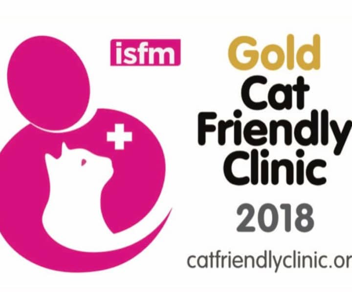 Gold Cat Friendly Clinic award