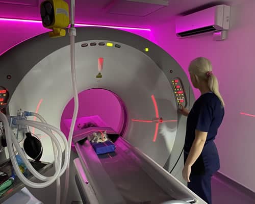 MRI & CT SCANNING